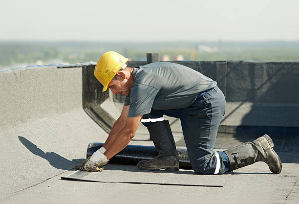 Best Cellulose Insulation in Osceola, IA